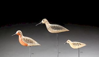 Red Knot by Chris T. Sprague (1887-1983)