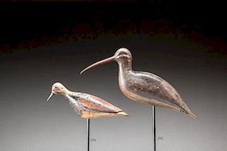 Curlew by Liberty M. Price (1775-1865)