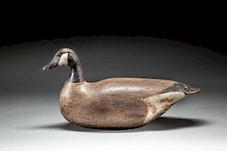 Canada Goose by Dave "Umbrella" Watson (1851-1939)