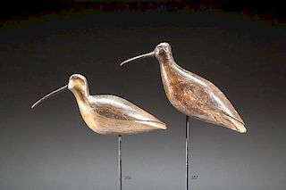 Running Curlew by Eli Doughty (attr.)