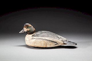 Paddle Tail Goldeneye by The Ward Brothers, Lemuel T. (1896-1983) and Stephen (1895-1976)