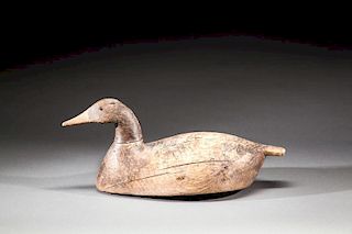 Canvasback Hen by Will Sterling (1870-1962)