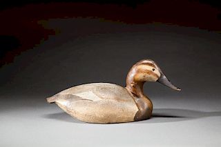 Special-Order Canvasback Hen by The Ward Brothers, Lemuel T. (1896-1983) and Stephen (1895-1976)
