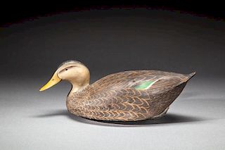 Black Duck BY The Ward Brothers, Lemuel T. (1896-1983) and Stephen (1895-1976)