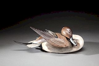 Preening Pintail Drake by The Ward Brothers, Lemuel T. (1896-1983) and Stephen (1895-1976)