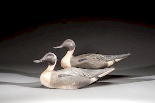 Two Pintail Drakes by The Ward Brothers, Lemuel T. (1896-1983) and Stephen (1895-1976)