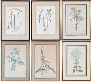 Three Pairs of Framed Botanical Prints