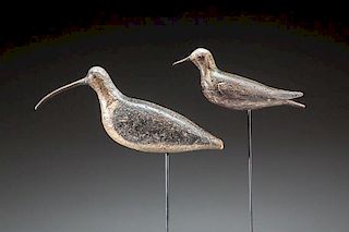 Cork-Bodied Curlew by Thomas Gelston (1851-1924)