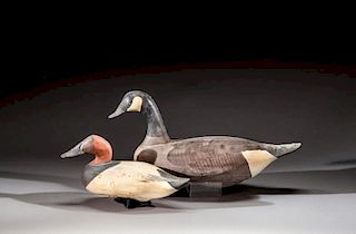 Canvasback Drake and Canada Goose
