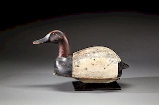 Canvasback Drake by Scott Peters (1883-1965)