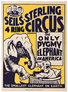 Sells-Sterling Four Ring Circus. The Only Pygmy Elephant in America.