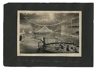 Ringling Brothers and Barnum & Bailey Photo Archive of 66 Images.