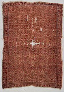 Antique Senneh Rug: 4'2" x 6'2" (127 x 74 cm)
