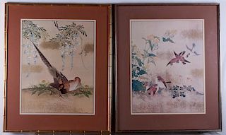 Ornithological Prints Pair