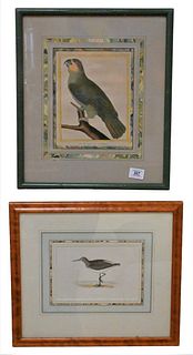 Group of 10 Framed and Matted Colored Lithographs