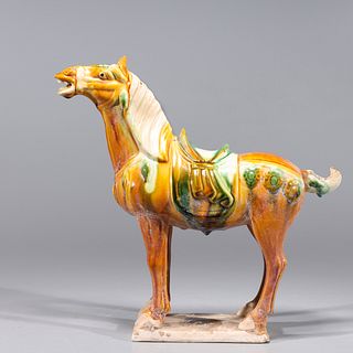 Chinese Sancai Glazed Ceramic Horse
