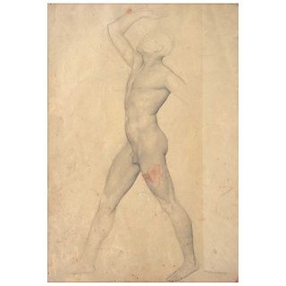 ÁNGEL ZÁRRAGA, Desnudo masculino, Firmado, Lápiz de grafito sobre papel, 51 x 35.5 cm