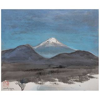LUIS NISHIZAWA, Popocatépetl, Firmada, con gagoin y fechada 94, Tinta sobre papel, 36 x 43.5 cm