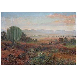 ISIDRO MARTÍNEZ COLÍN, Paisaje con cactus, Firmado, Óleo sobre tela, 40 x 55 cm