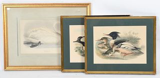 Three Bird Prints , Gould & Richter, Lear