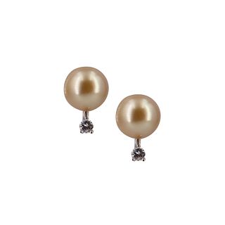 Golden South Sea Pearl & diamonds  14k Gold Earrings