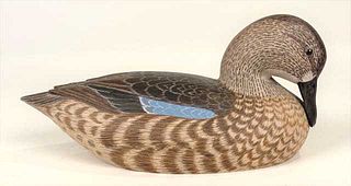 Blue-Winged Teal Hen by Al Glassford