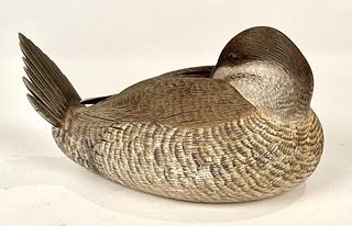 Sleeper Ruddy Duck Drake by Glassford