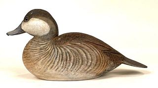 Low Head Low Tail Ruddy Duck by Al Glassford