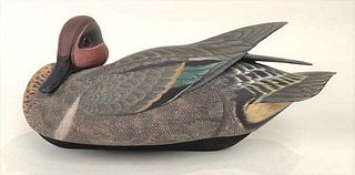 Green-Winged Teal Drake by Mueller