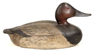 Canvasback Drake by A. Elmer Crowell