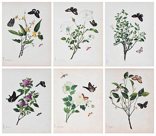 Group of Six Unframed Chinese Botanical Watercolors