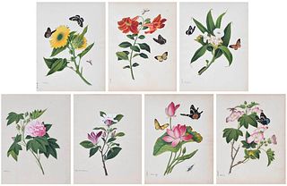 Group of Seven Unframed Chinese Botanical Watercolors