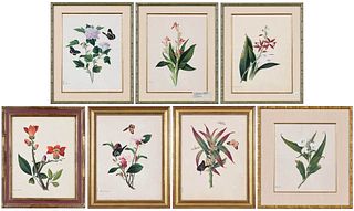 Seven Framed Chinese Botanical Watercolors