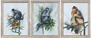 Three Peter Schouten Watercolors, Monkeys