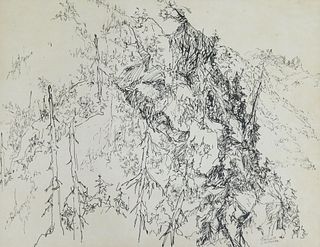 Kenneth Callahan ''Mountain Drawing'' Ink