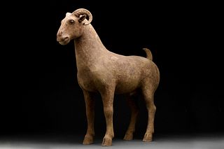 CHINESE HAN DYNASTY TERRACOTTA RAM - TL TESTED