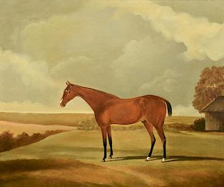 Attr. Harry Hall, large portrait of horse