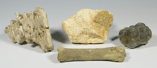 4 Archaeological Items