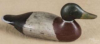 Carved and painted hollow body mallard duck decoy, early 20th c., 16 1/4'' l.