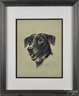 Graphite portrait of a dog, 20th c., signed A. P. Bert lower right, 10 1/2'' x 11''.