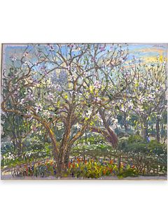 Bruno Zupan "Japanese Magnolia, Central Park"