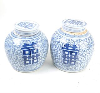 Pair of Chinese Covered Storage Jars