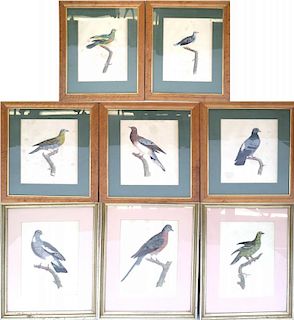 Set of 8 Hand-Colored Bird Engravings