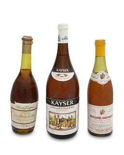 A selection of white wine (9)