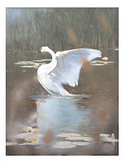 Swan Taking Flight, Oil on Canvas