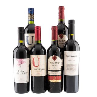 Lote de Vinos Tintos de Chile, Argentina y España. Pequeña Vasija. En presentaciones de 750 ml. Total de piezas: 6.