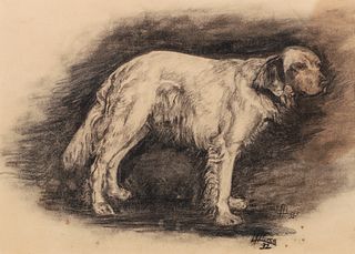 Setter Hunting Dog charcoal drawing 1932