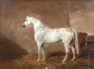 PORTRAIT OF A WHITE ARABIAN HORSE IN A BOX OIL PAINTING