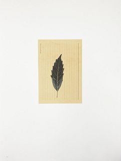 Joseph Beuys - Blatt auf Karteikarte