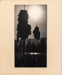 Walter Hilton Scott 'A Berkshire Dawn' Photograph